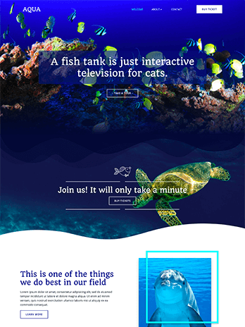 Webdesign, Webhosting, Onlineshop und CMS