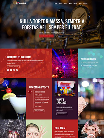 Webdesign, Webhosting, Onlineshop und CMS