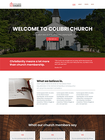 Webdesign, Webhosting, Onlineshop und CMS