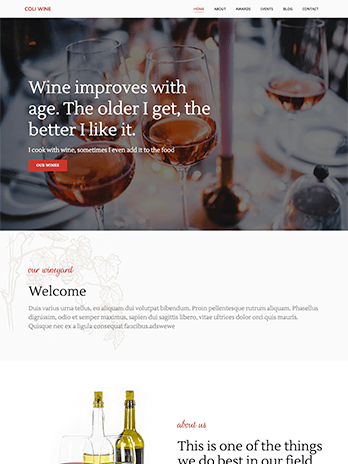 Webdesign, Webhosting, Onlineshop und CMS