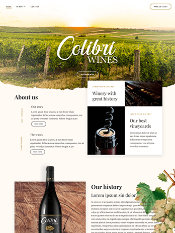 Webdesign, Webhosting, Onlineshop und CMS