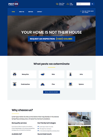 Webdesign, Webhosting, Onlineshop und CMS