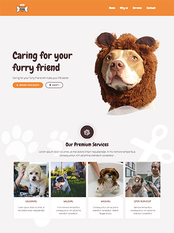 Webdesign, Webhosting, Onlineshop und CMS