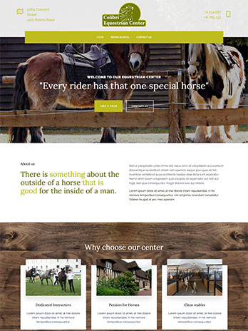 Webdesign, Webhosting, Onlineshop und CMS