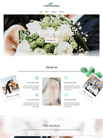 Webdesign, Webhosting, Onlineshop und CMS